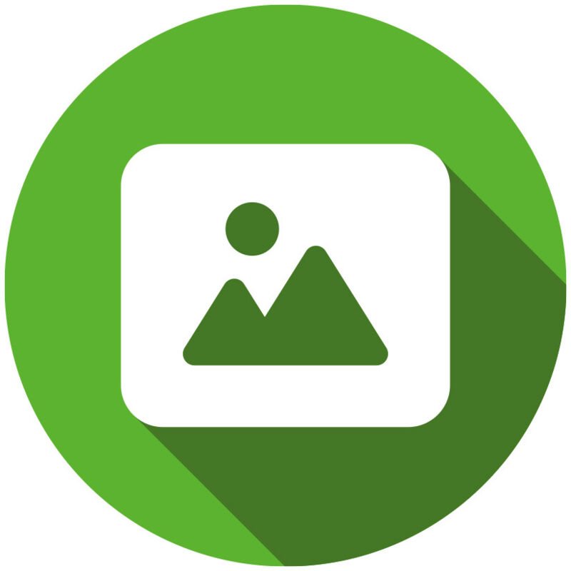 Epson T7541 - 202 ml - Größe XXL - Schwarz - original