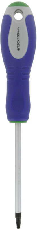 Sternschraubendreher (mm) T20 X 100