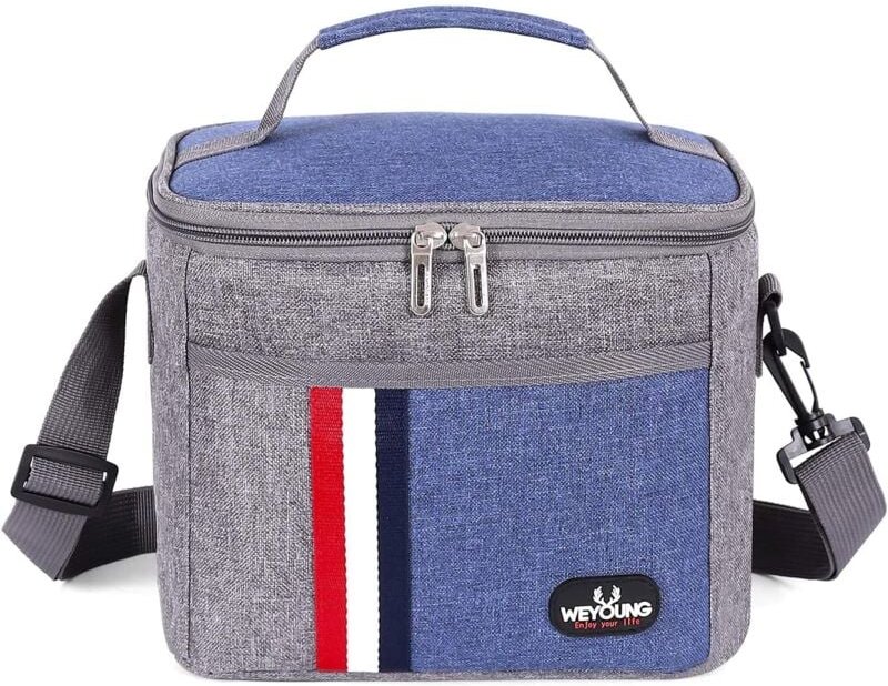 8L Lunchkorb, isolierte Mini-Lunchtasche mit verstellbarem Schultergurt, wasserdichte Lunchtasche, isolierte Lunchtasche...