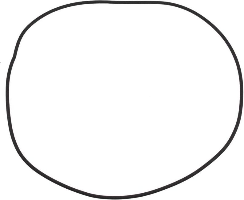 Bosch - dichtung für staubbehälter - 10016901 -