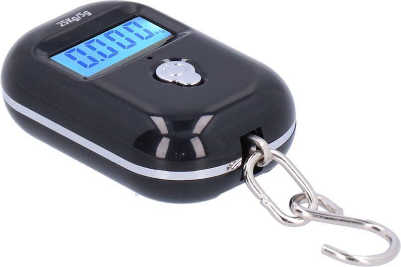 Elektronische Hängewaage, Fischwaage, Mini-tragbare elektronische Waage, 25-kg-Waage für Einkäufe