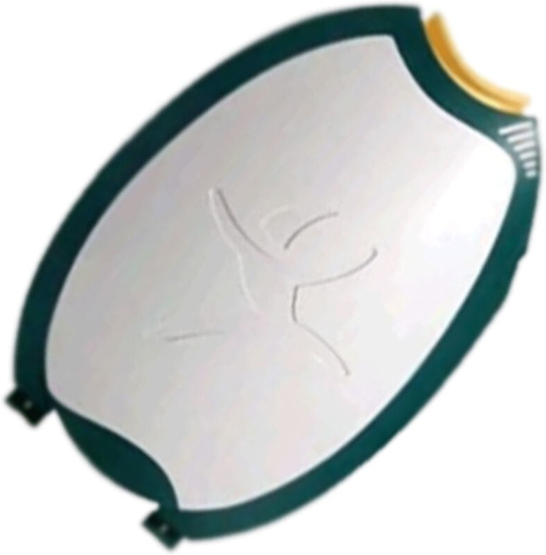 Ersatzteil - Original Filtertür - Vorwerk folletto