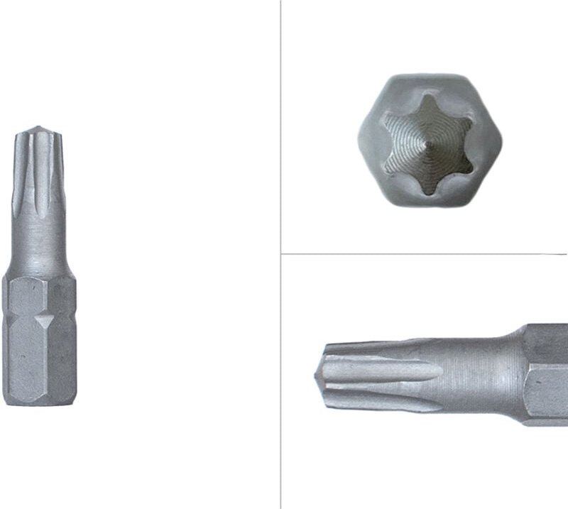 Torx Bits TX25 25mm - Pro 10 Stück