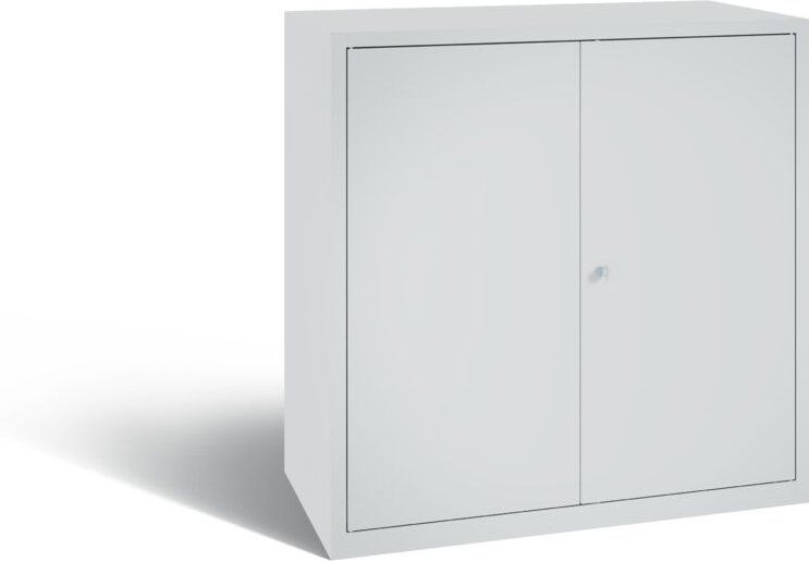 C+P Stahl-Flügeltürenschrank Serie 89, H1000xB100xT500mm, 7035/7035