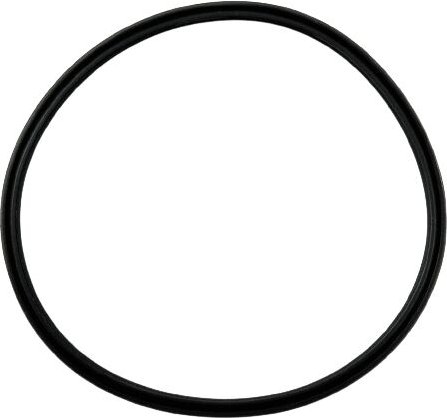 KONVERTERKOLBENDICHTUNG 110,46 mm x 4,93 mm x 4,42 mm 8HP45 845RE 0CM 8HP55 8HP70