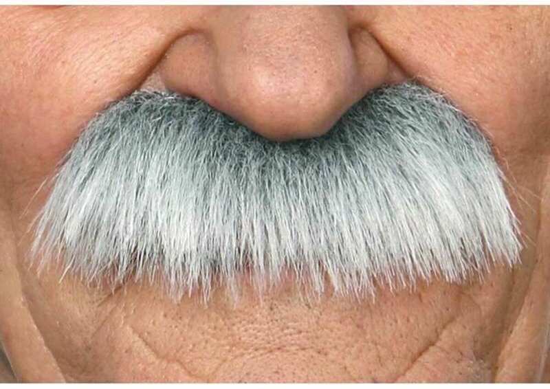 Schnurrbart My Other Me Viving Costumes202812 Zubehör für Verkleidung