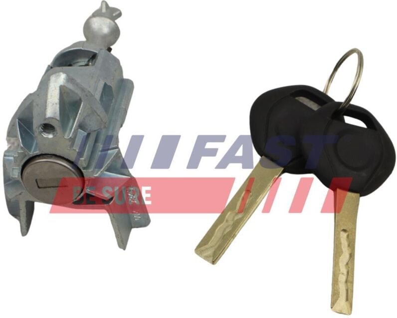 Schlosseinsatz Ft00295 Fast