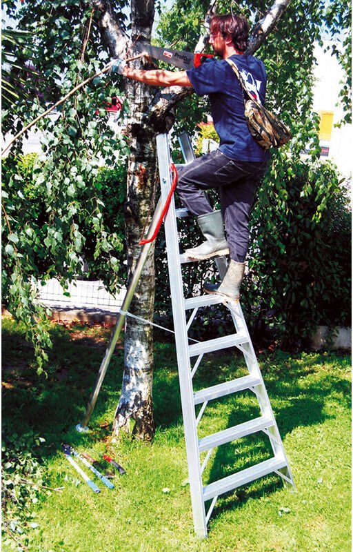 Obstbaumleiter ohne Erdspitze, 10-stufig, Max. Arbeitshöhe 3.79m - SCA1969S/10-SCCSTO