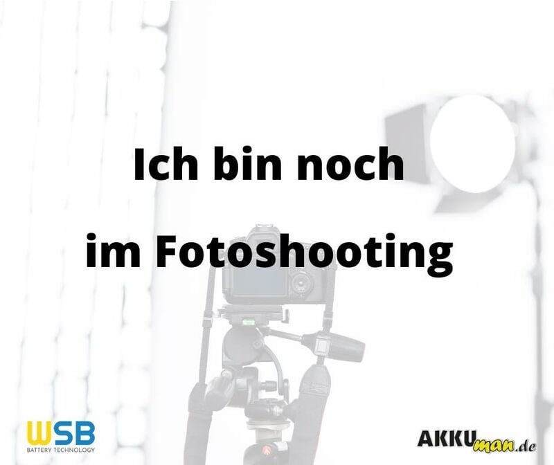 Ladegerät mit 1x Blei-Akku 12V 0,8Ah MP0.8-12H AMP-Stecker