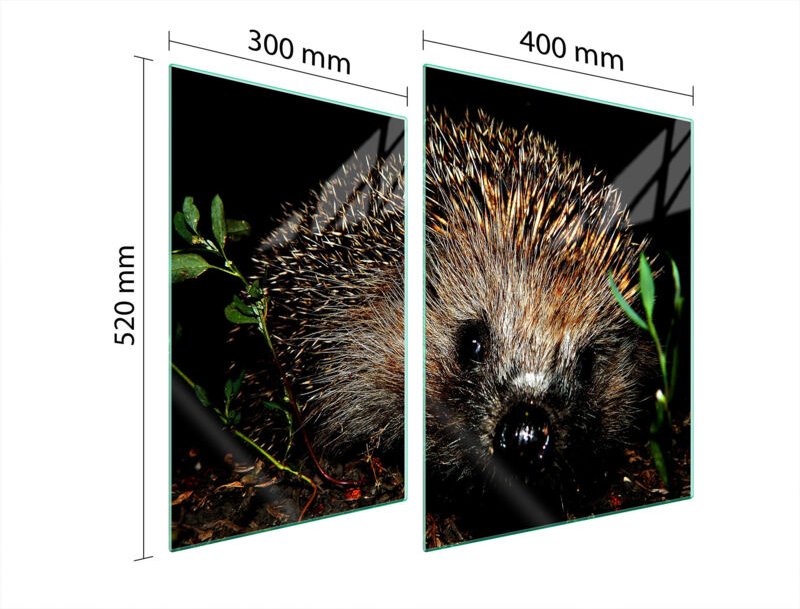 GLASSCHUTZPLATTE FÜR HERD 70x52 IGEL