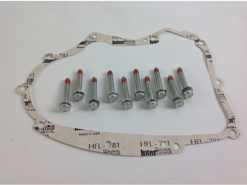 CARTER GASKET KIT für BRIGGS STRATTON Rasentraktormotor