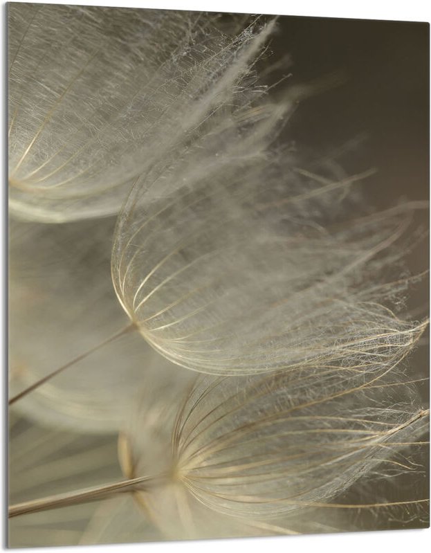 Glasschneidebrett 40x52 Blume