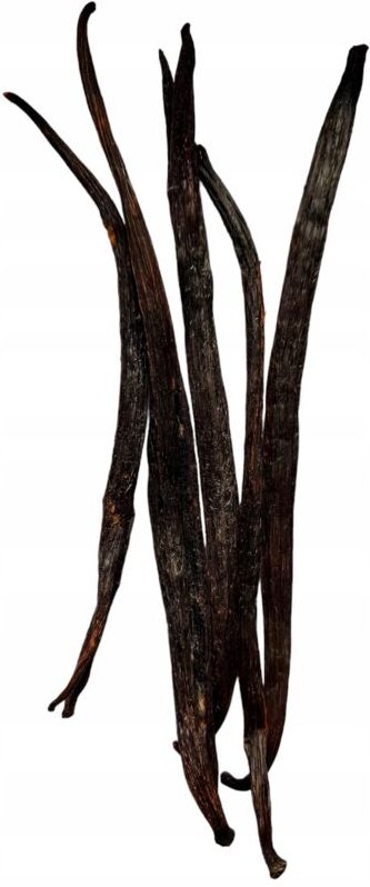 KANDIERTE VANILLESTICKS 5 STK 16-22 cm Vanillestange Givre