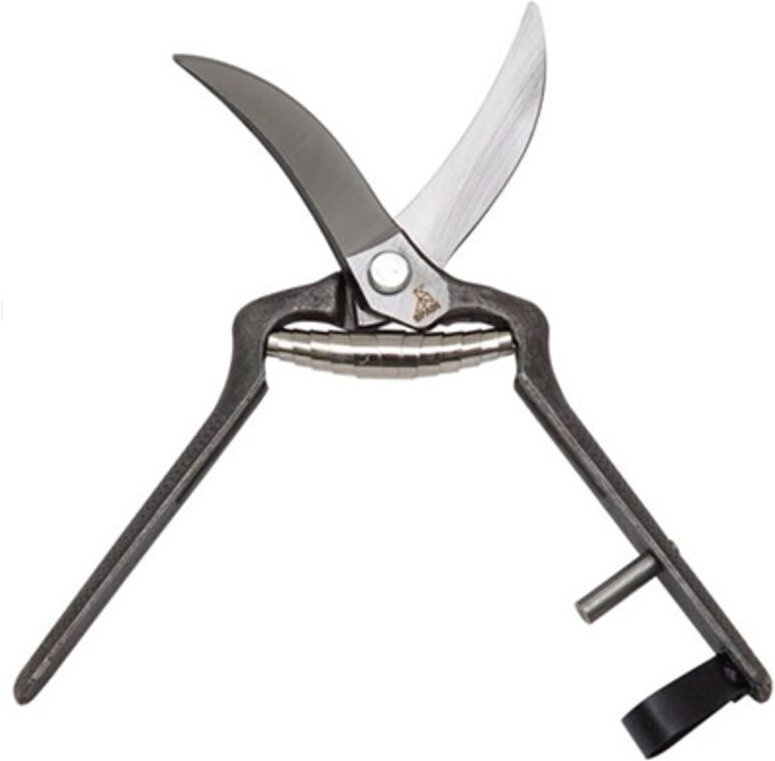 EDM - Gebogene Knoblauchschere 19cm 1026-19 La Pajarita