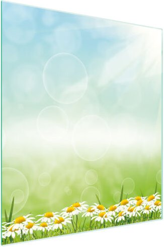 Glasschneidebrett 45x52 Daisy