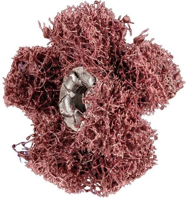 Schleifstern Polinox t 25-2 a 100 Pferd