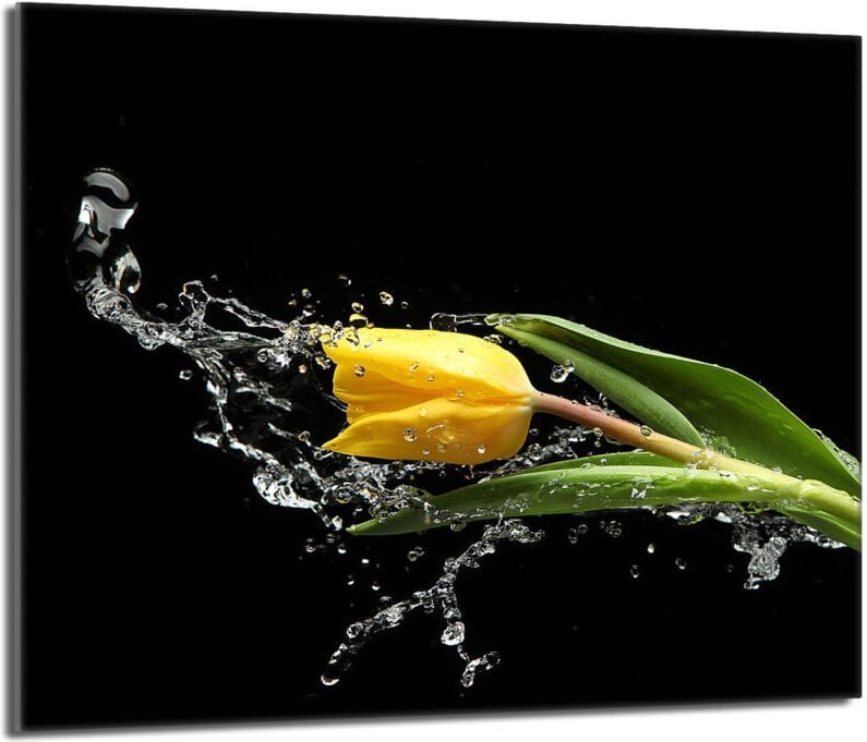 Glas-Herdplattenschutz 60x52 Tulpe