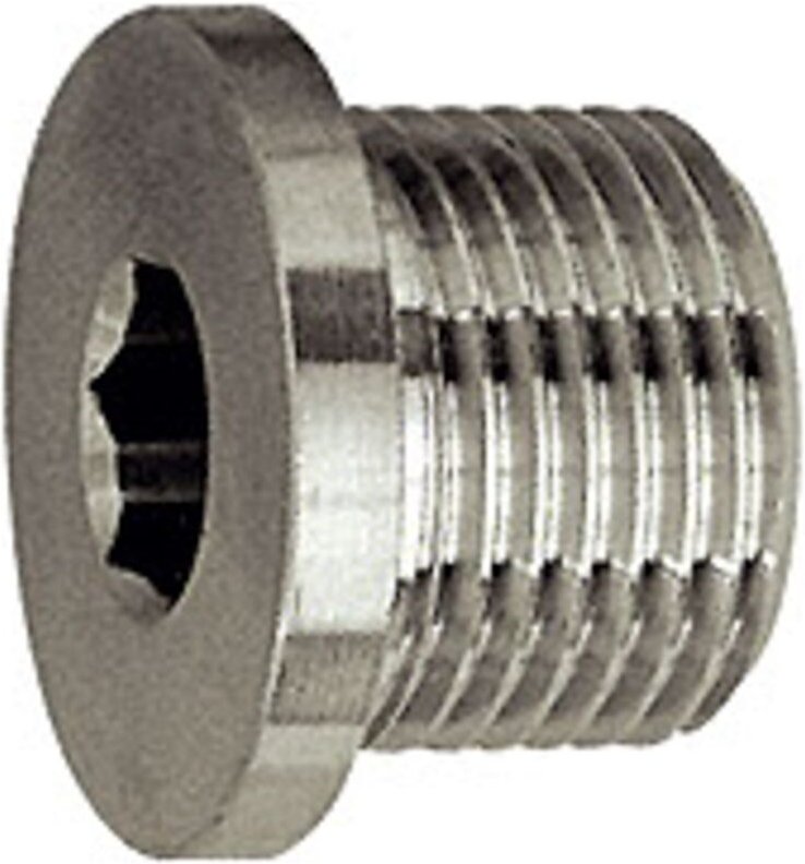 Riegler - Verschlussschraube, Innensechskant, Bund, g 3/4, sw 12, es 1.4571