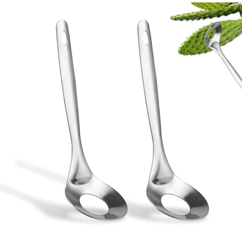 2 pezzi Premium in acciaio inox per pelare cactus con foro per cucchiaio, per preparare polpette, pratici utensili da cu...