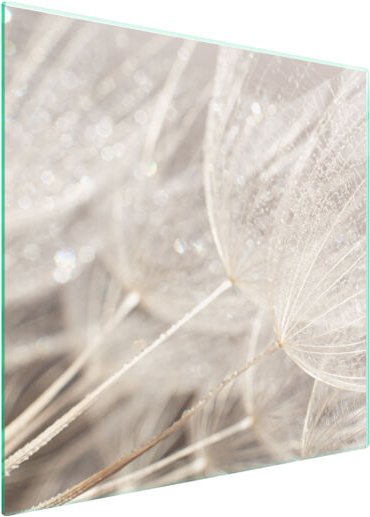 GLASSCHUTZPLATTE FÜR HERD 50x52 BLUME