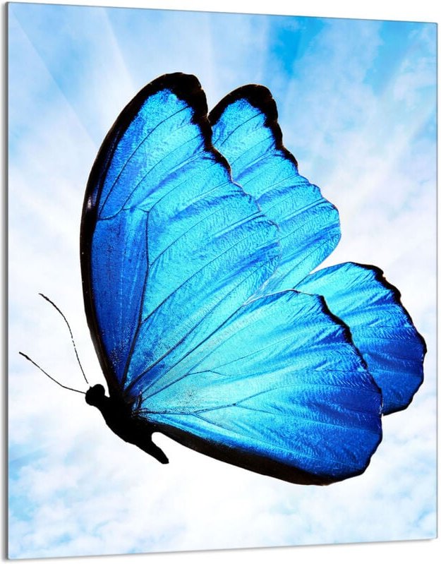 Glasschneidebrett 40x52 Schmetterling