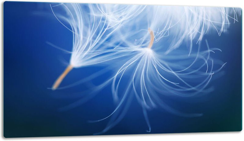 Glasschild Schneidebrett 52x30 Blume