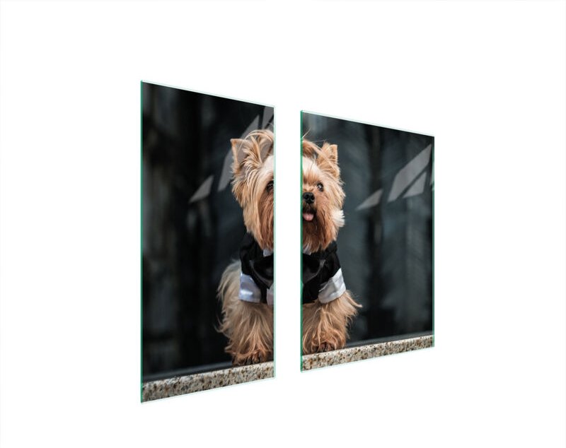 GLASSCHUTZPLATTE 75x52 HUND