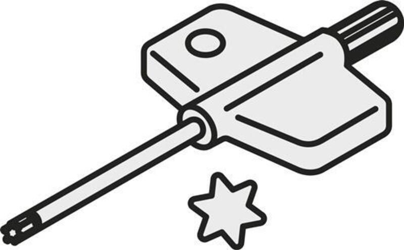 Torx-Schlüssel ISO FLAG T09P Bruttogewicht 8g PRAMET