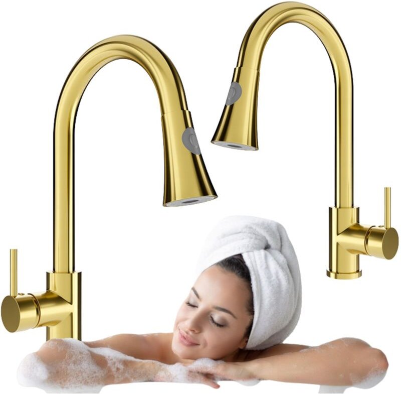 Küchenspüle Wasserhahn SEM-2102 Gold