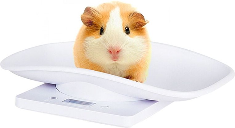 Thumbnail - Csparkv - Elektronische Haustierwaage, kleine Digitalwaage, 10 kg/1 g, LCD-Display, Präzisionsmessung, Wiegewerkzeug für...