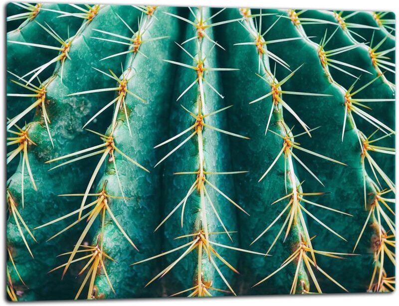 GlassplattenschneideBrett 52x40 Cactus