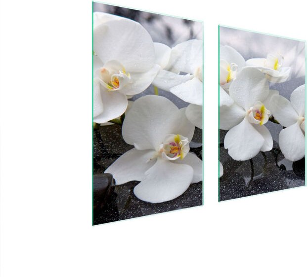 GLASSCHUTZPLATTE FÜR KÜCHE 65x52 ORCHIDEE