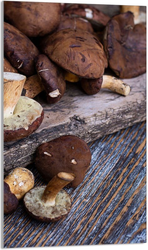 Glasschneidebrett 30x52 Pilze