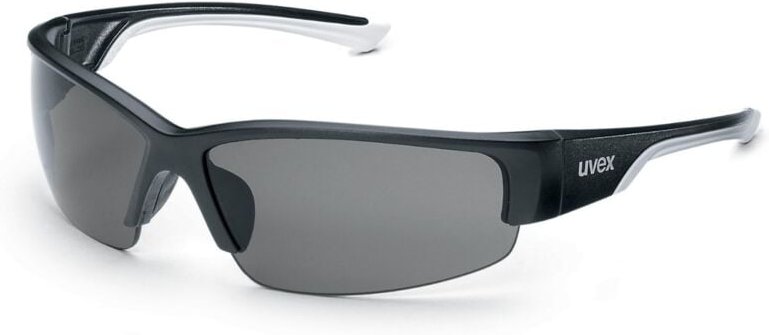 Uvex Komfort-Schutzbrille uvex polavision, Scheibentönung: POLAR