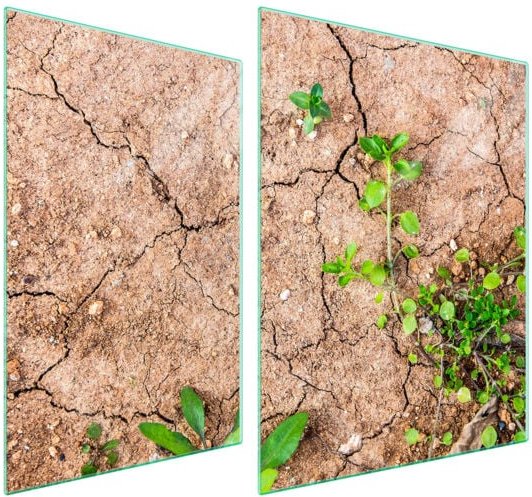 GLASSCHUTZPLATTE FÜR HERD 70x52 PFLANZEN