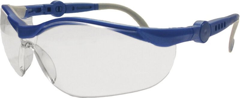 Leipold Doehle 2675 Schutzbrille Blau, Grau en 166-1 din 166-1