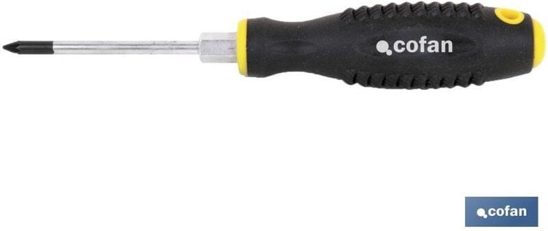 Cr-Molybdän-Schraubendreher mit Sechskant Pz-2x100