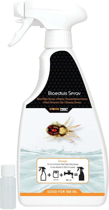 Knock pest bloedluis spray