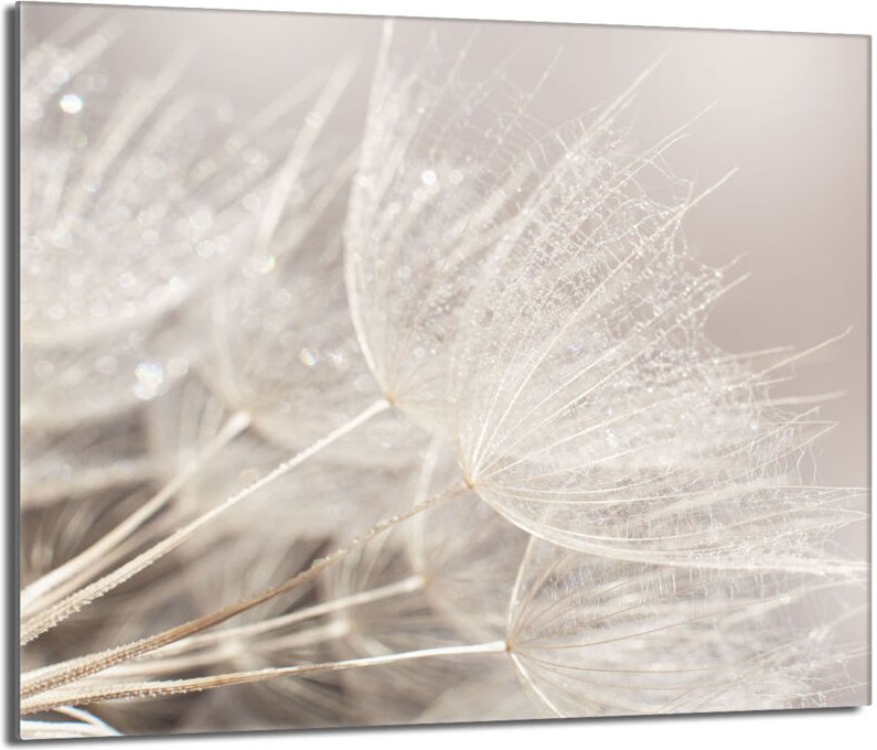 Glas-Herdplattenschutz 60x52 Blume