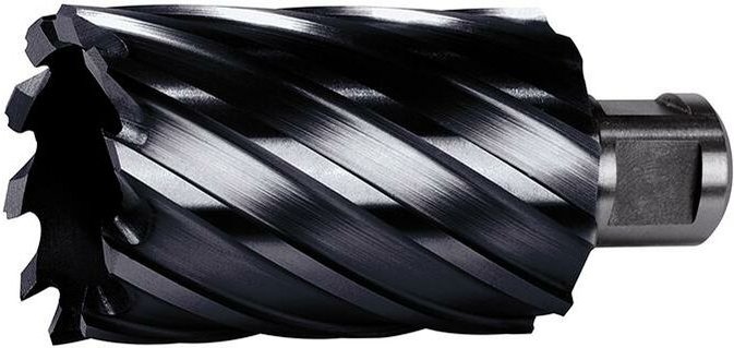 Kernbohrer HSS-Co TiAlN 20/55mm - Format