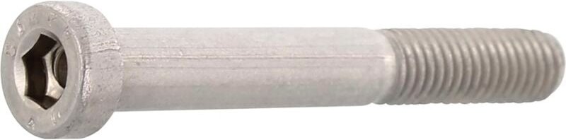 Zylinderschrauben M10x30 mit niedrigem Kopf und isk Schlüsselführung, Edelstahl A2-70 - Stück 100