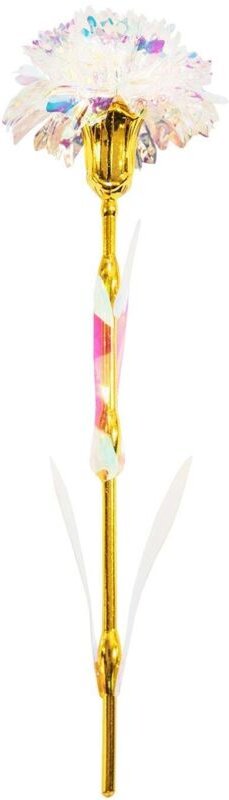 Ewigkeitsblume - nelke