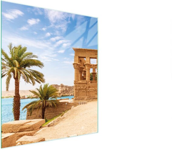 Glasschneidebrett 45x52 Palmen