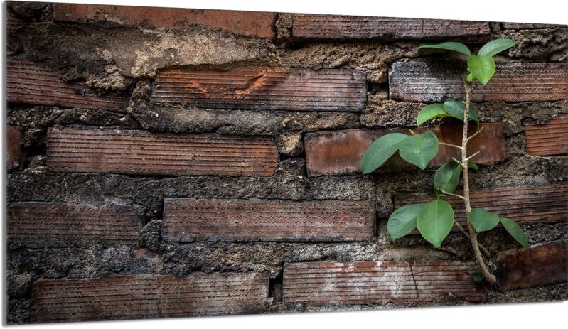 Glasschutzplatte für einen Herd 90x52 Ziegel