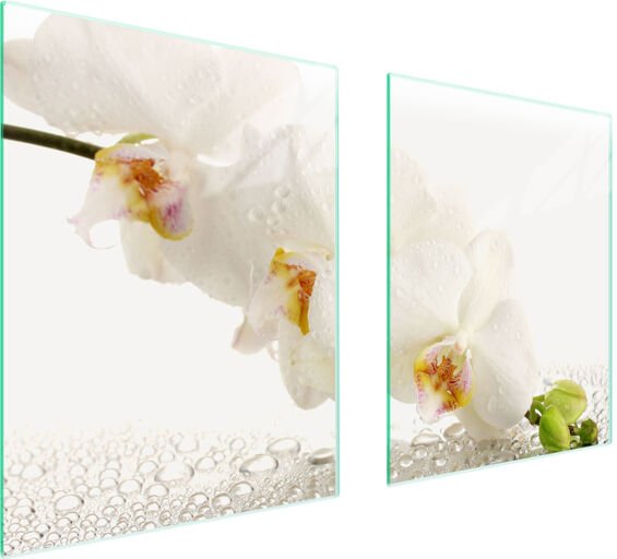 GLASSCHUTZPLATTE FÜR HERD 85x52 ORCHIDEE