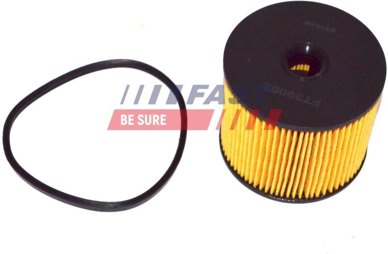 Kraftstofffilter Ft39052 Schnell