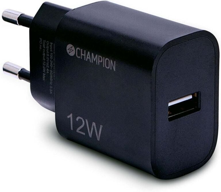 Ladegerat 12w schwarz