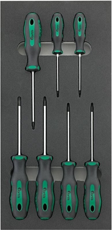 Werkzeugmodul 1/3 Schraubendr. Torx fortis