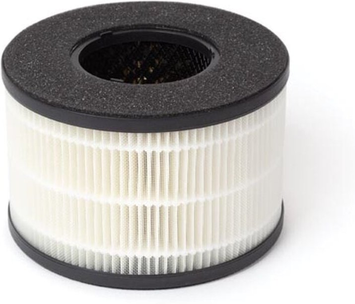 HEPA-Filter für AIRP001 - Perel