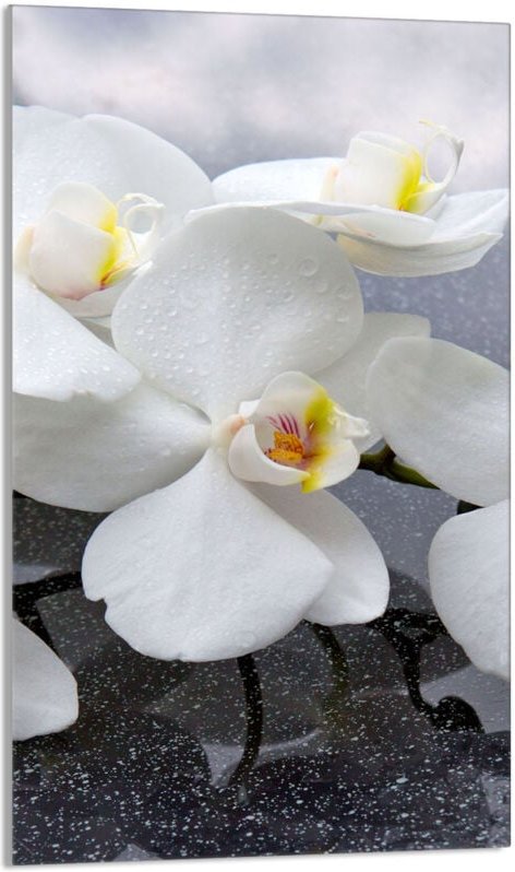 Glasschneidebrett 30x52 Orchidee